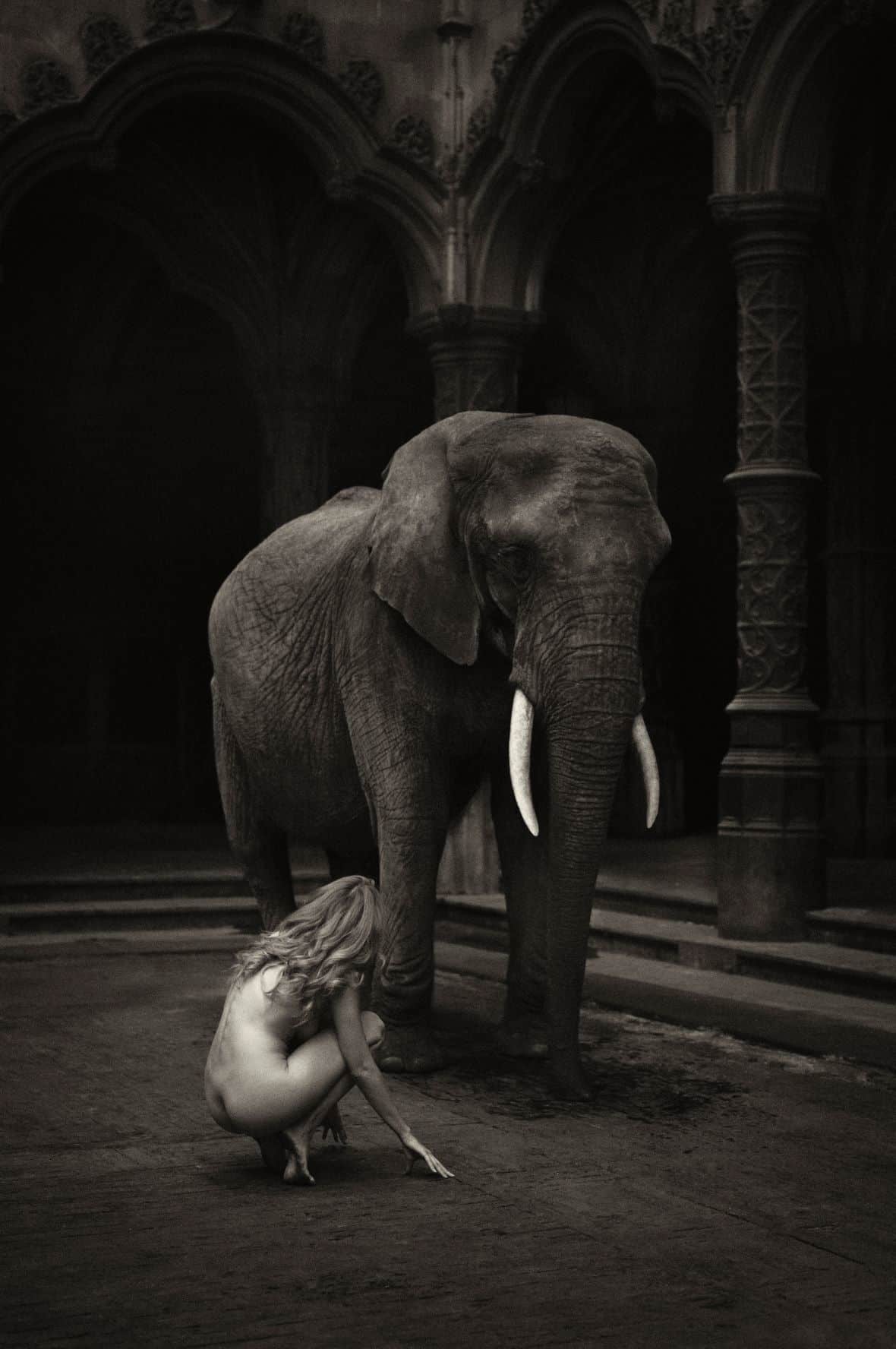Marc lagrange aangepast