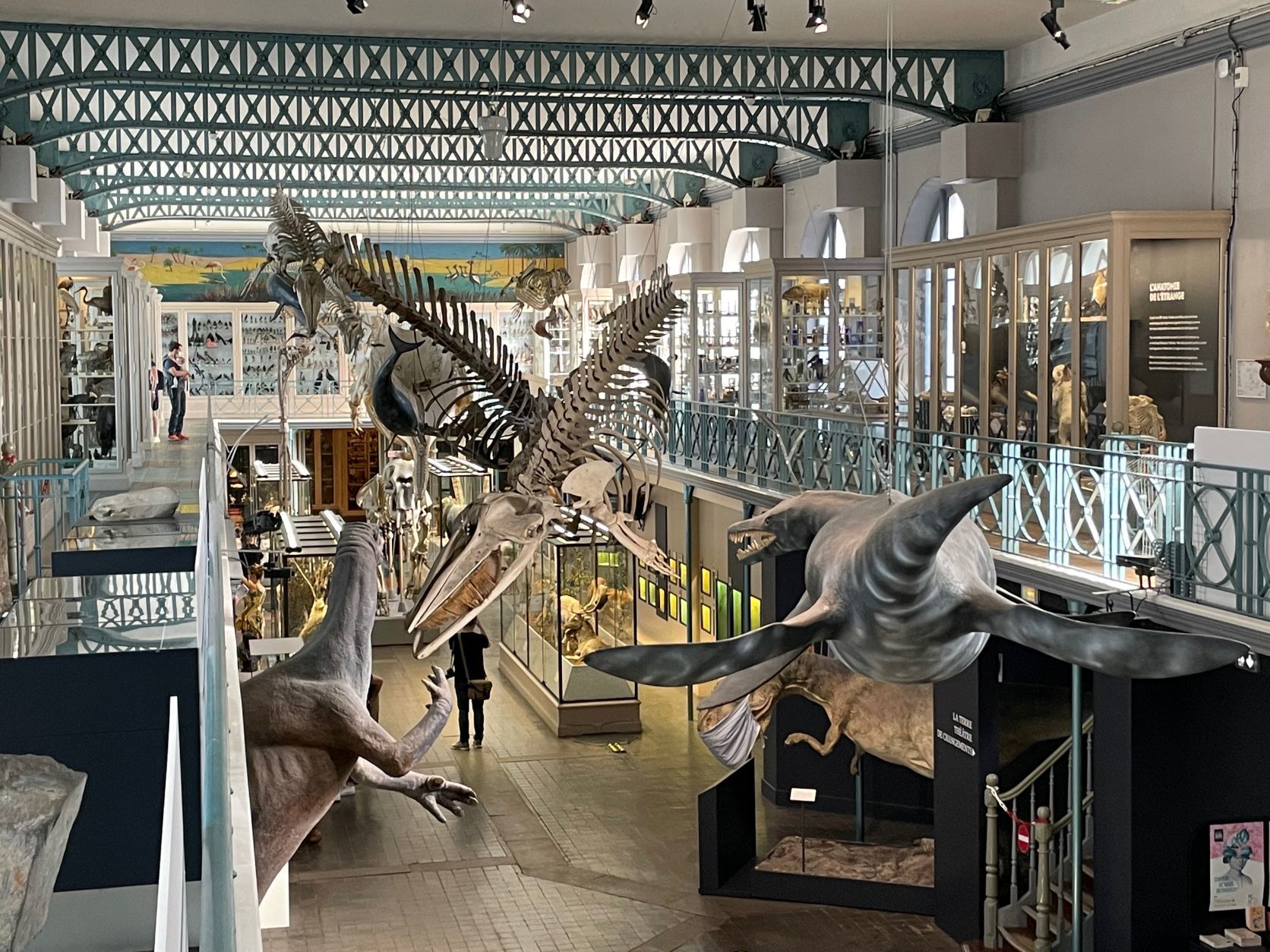 Musée Lille 8
