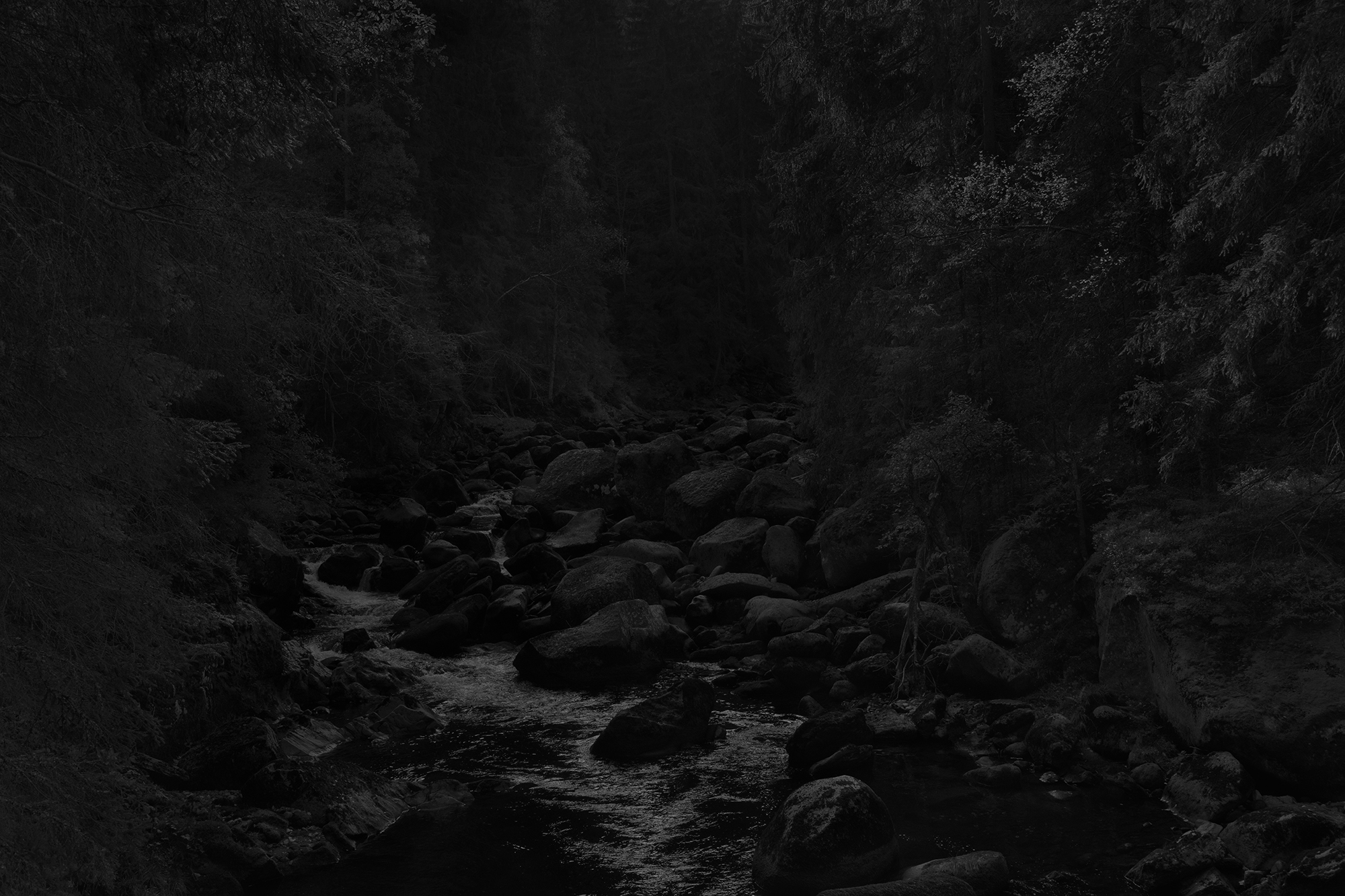 Absence 2 Tsjechië Sumava
