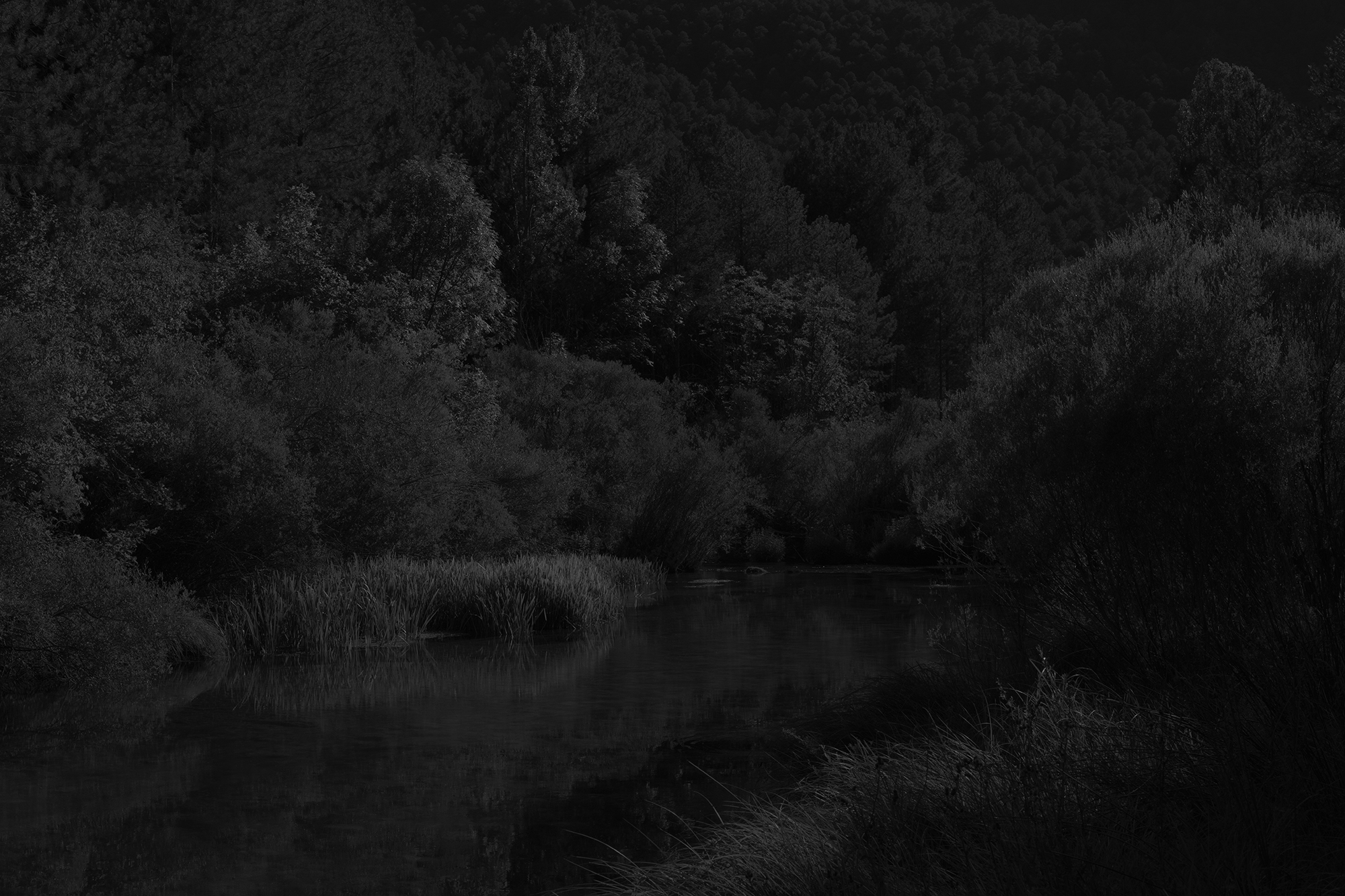 Absence 3 Spanje Serrania de Cuenca