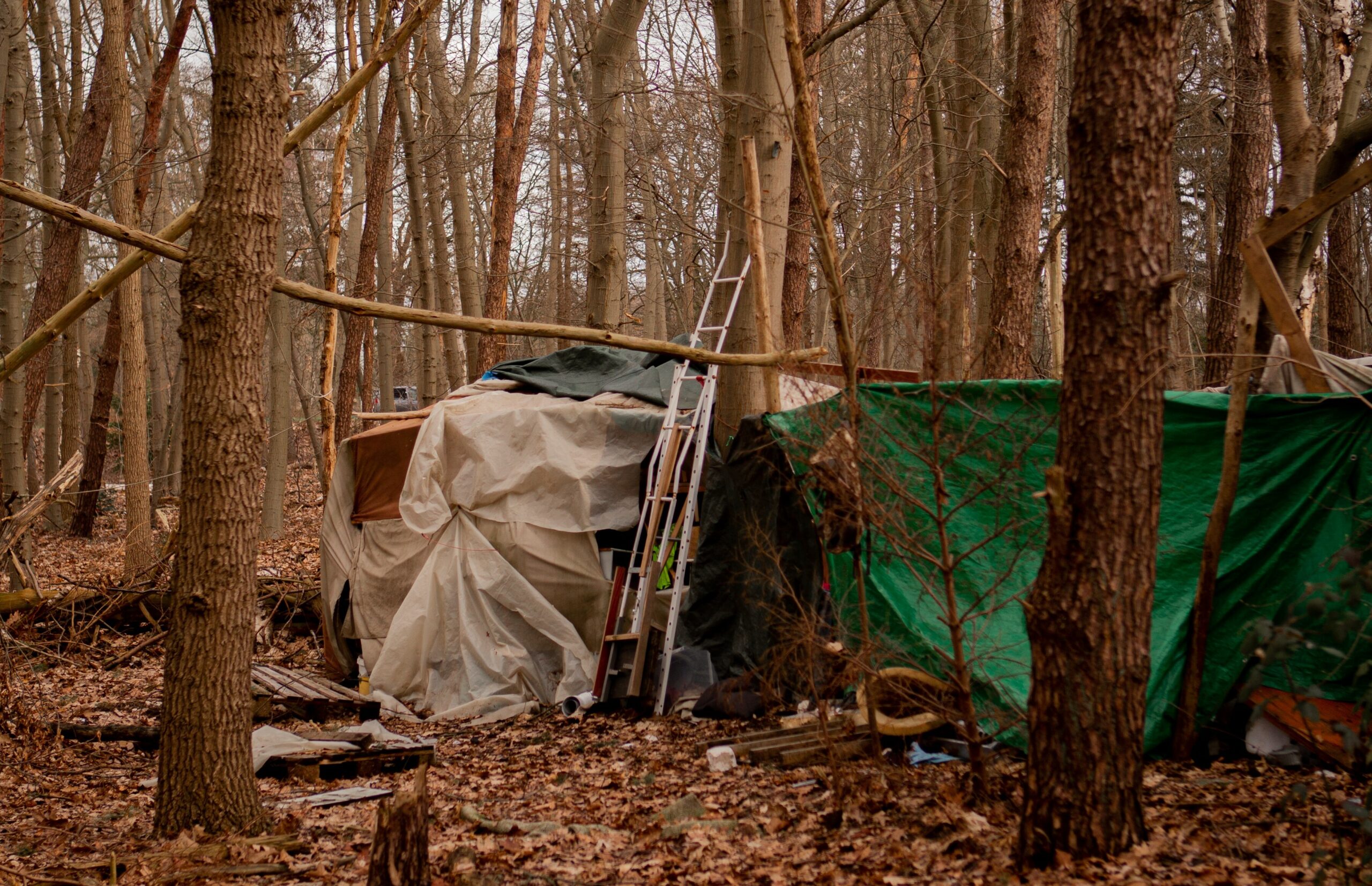 de lage landen In de schaduw van de Nederlandse welvaart - de lage landen