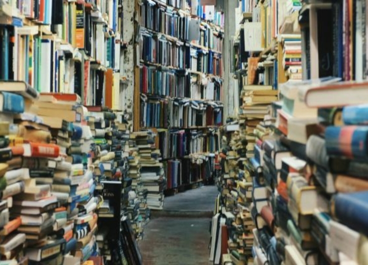 Lezen Nobel