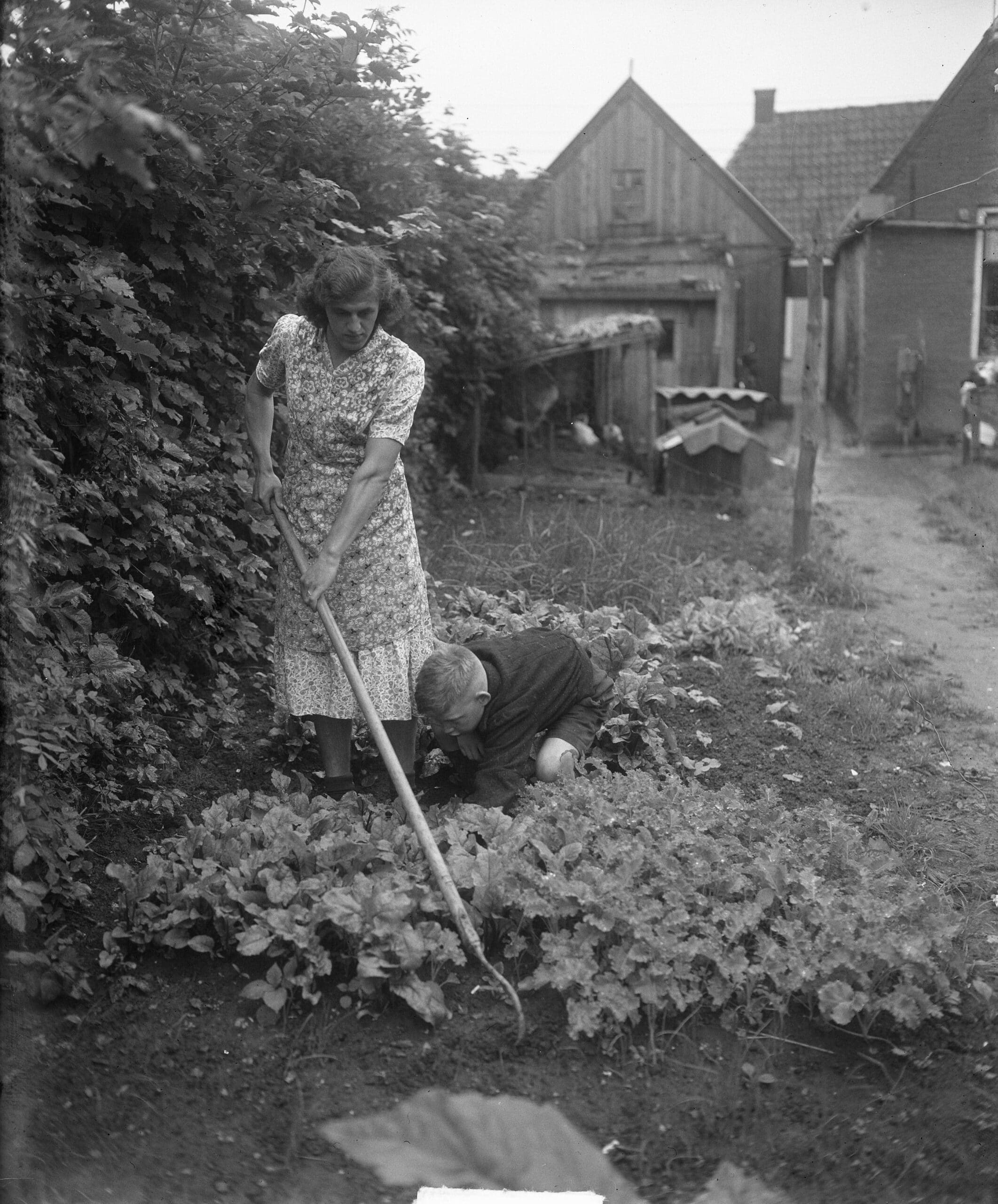 4 Foekje Dillema werkend in haar tuin