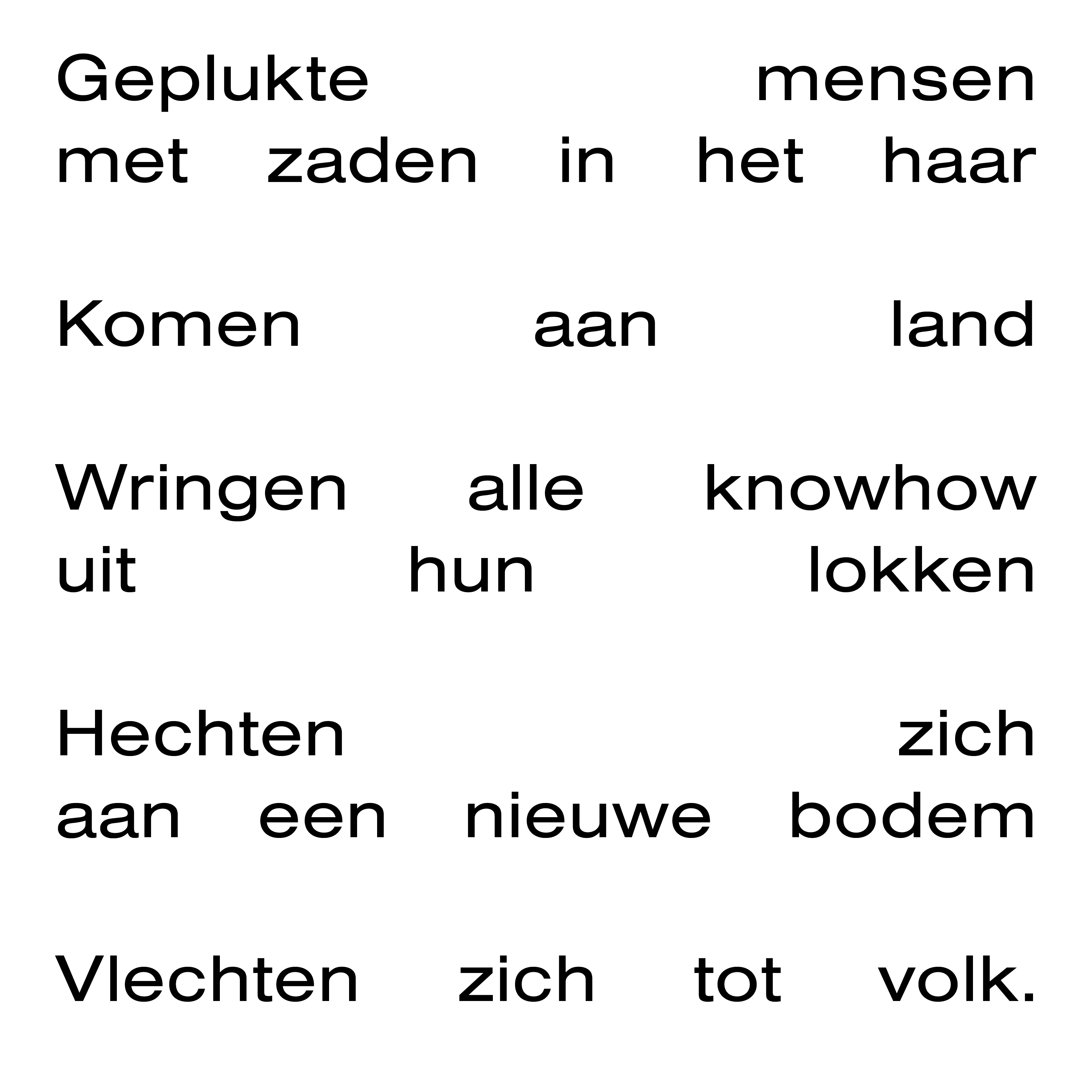 Gewassenvierkant17