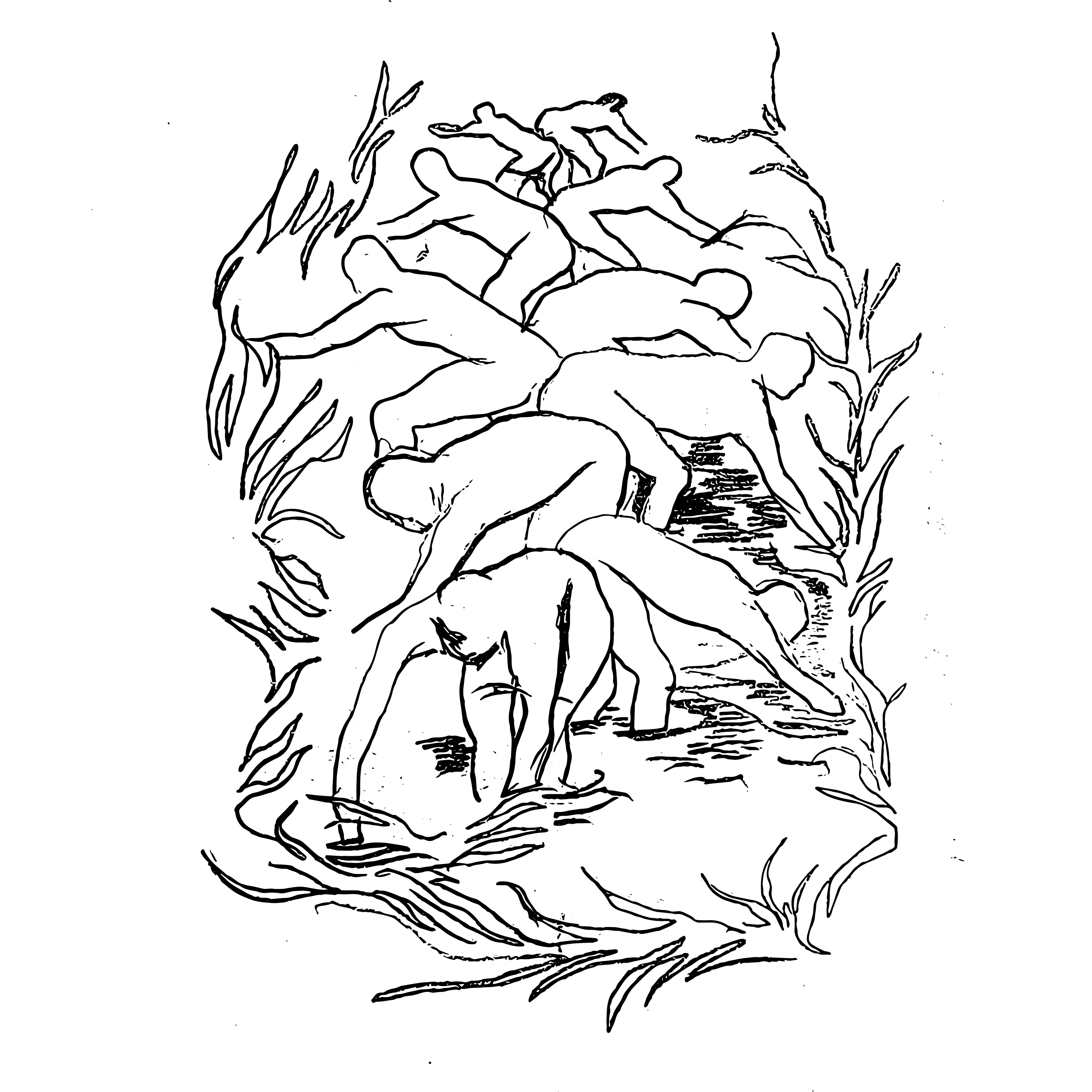 Gewassenvierkant18