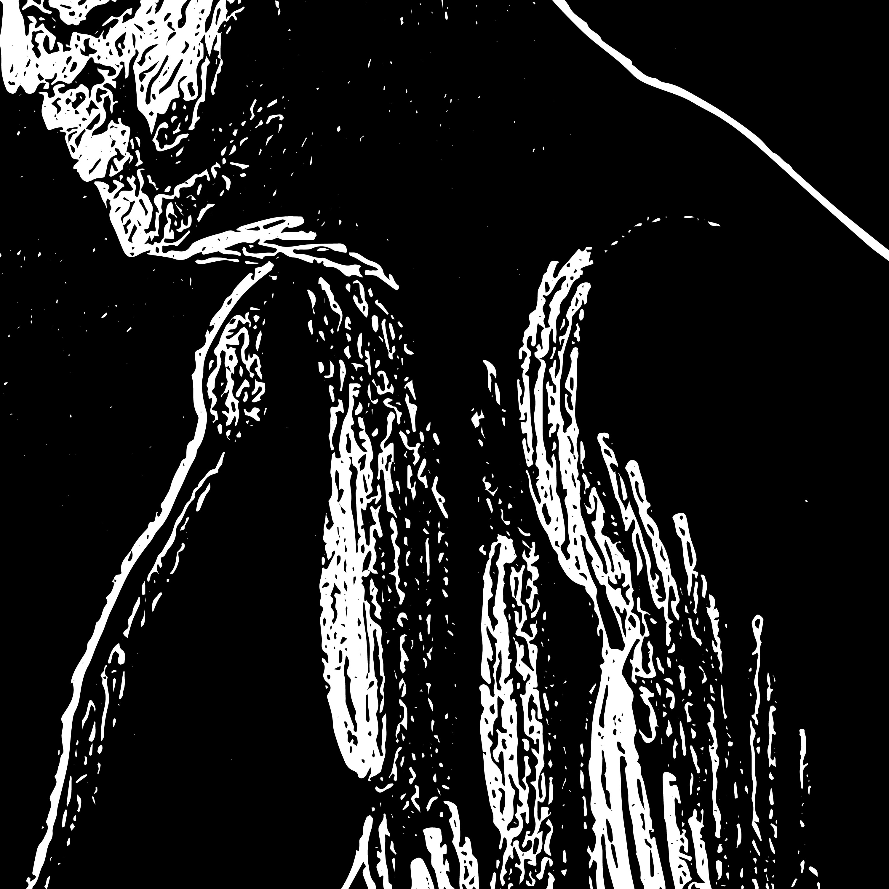 Gewassenvierkant24