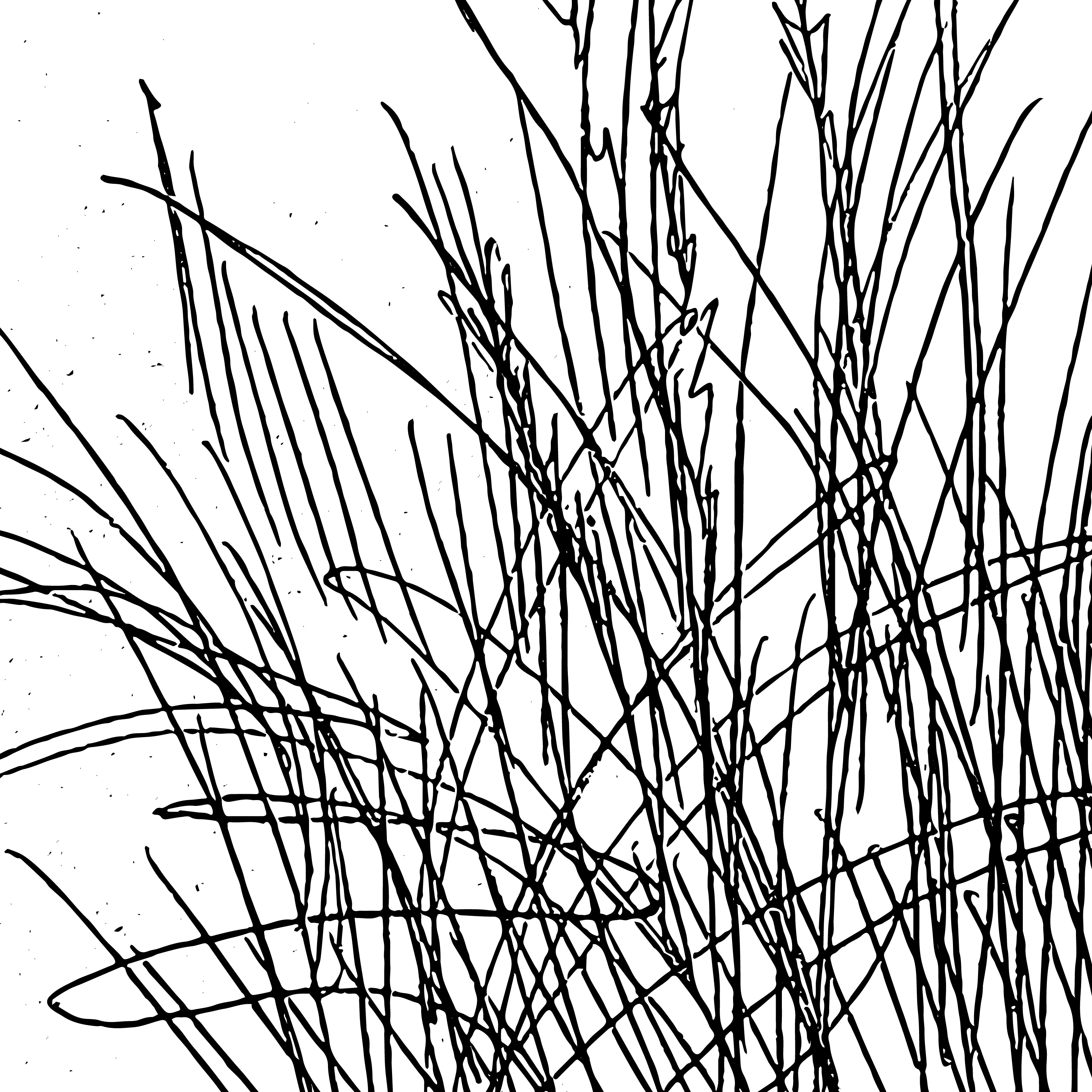 Gewassenvierkant4