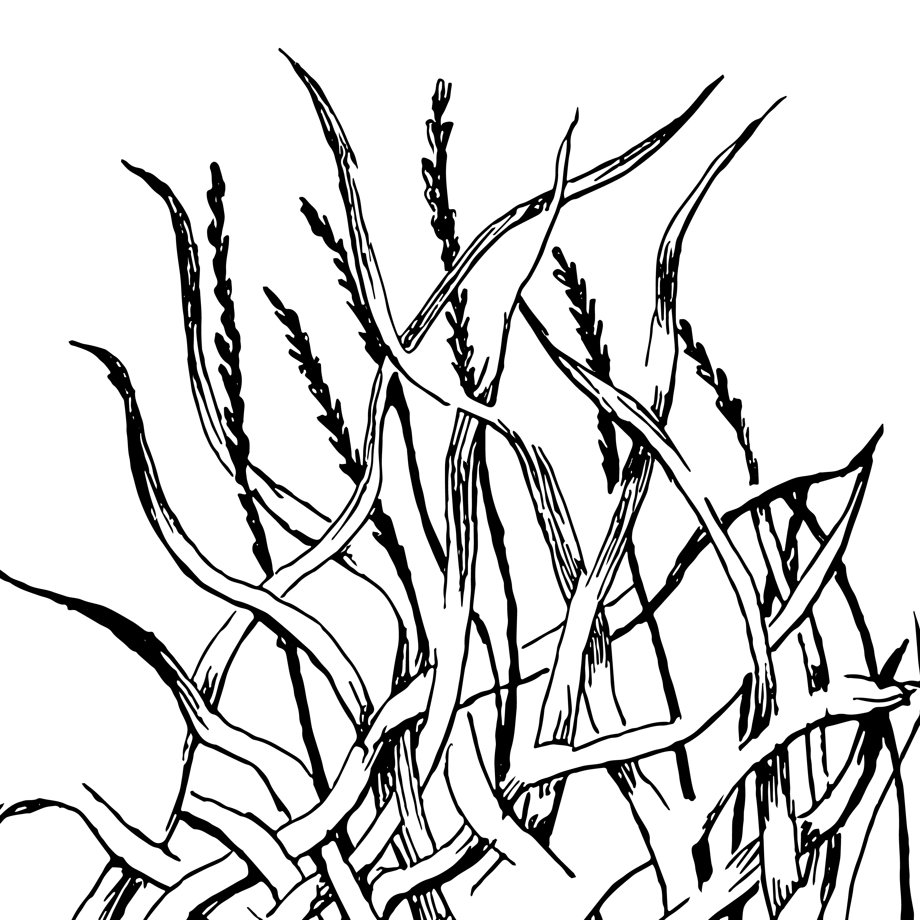 Gewassenvierkant5