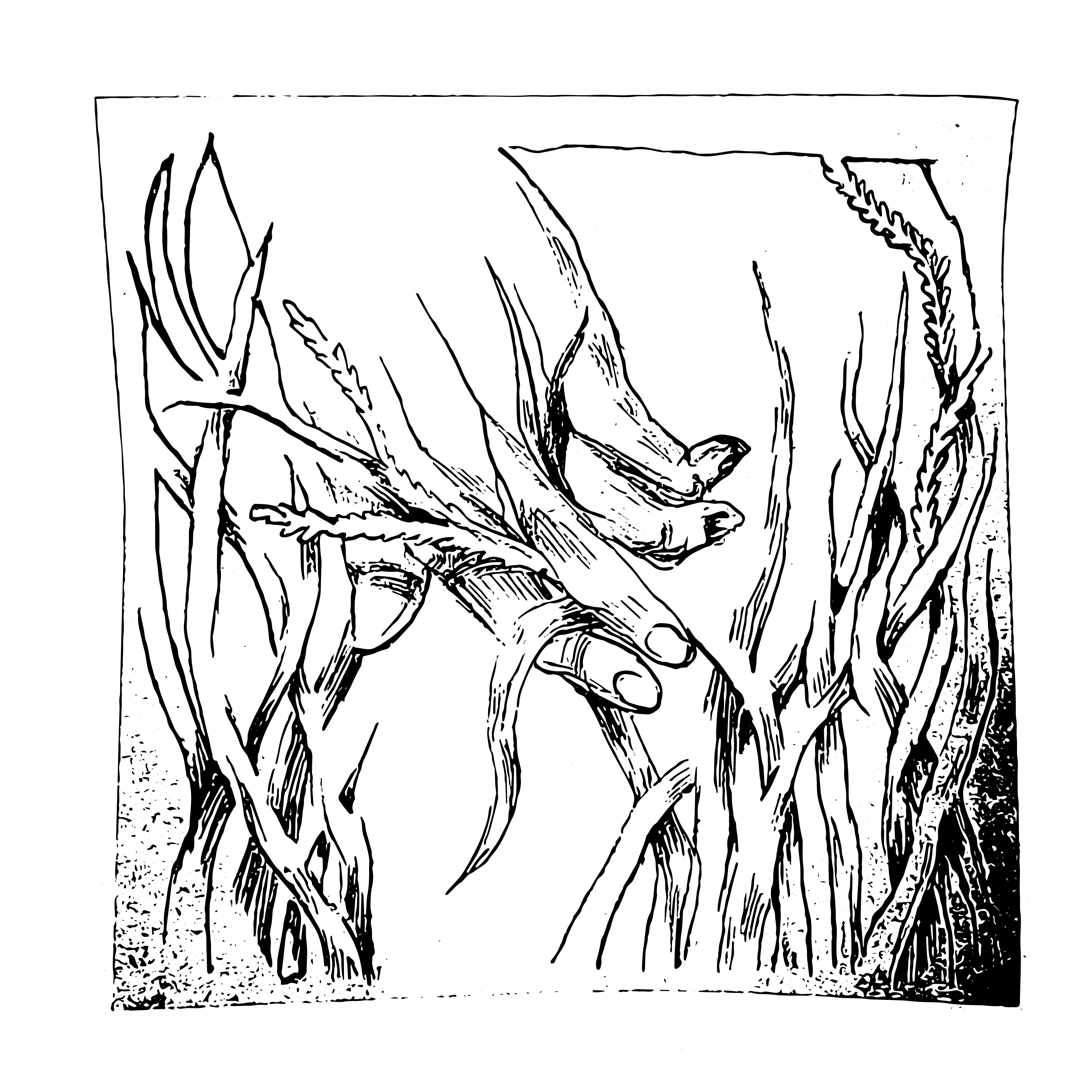Gewassenvierkant8