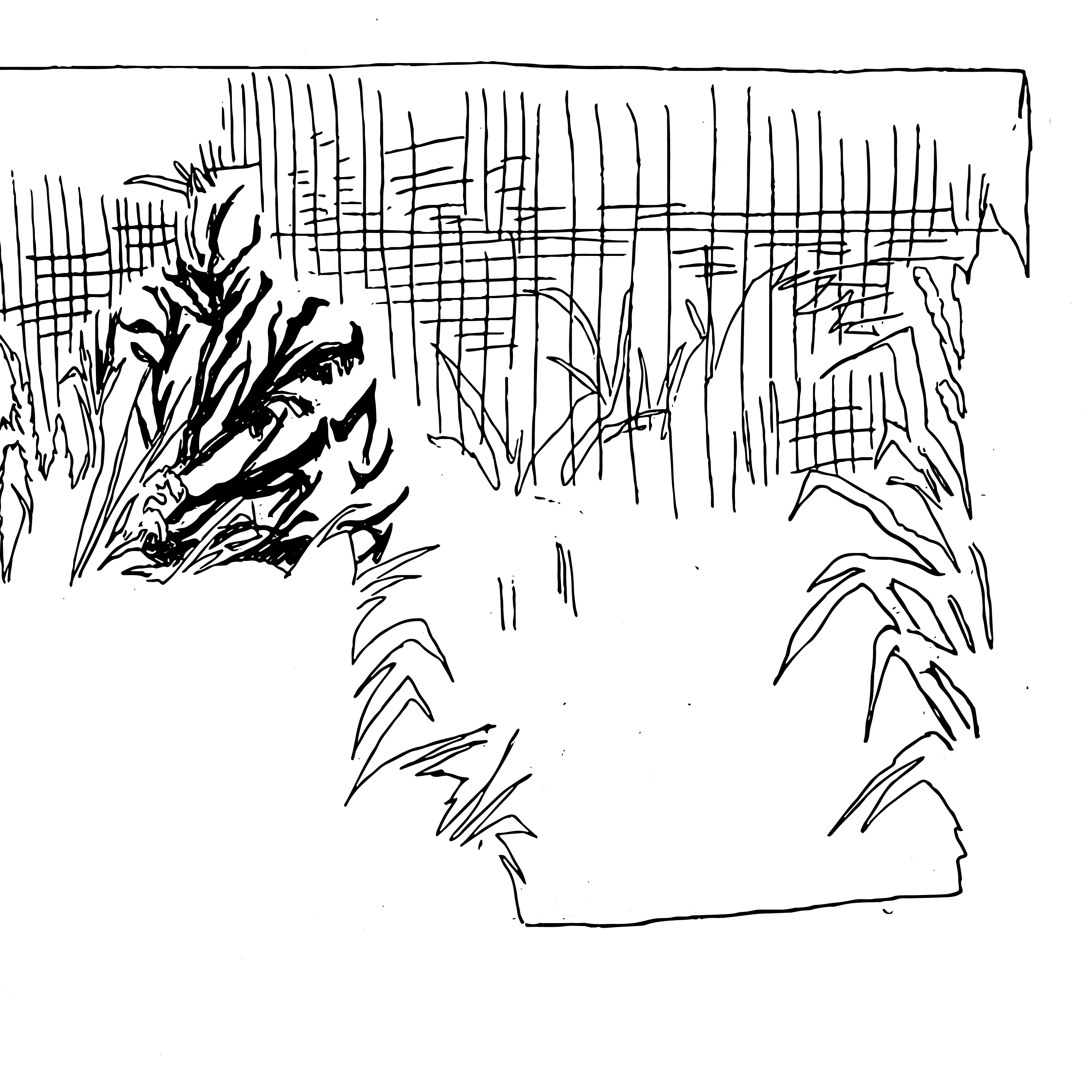 Gewassenvierkant9