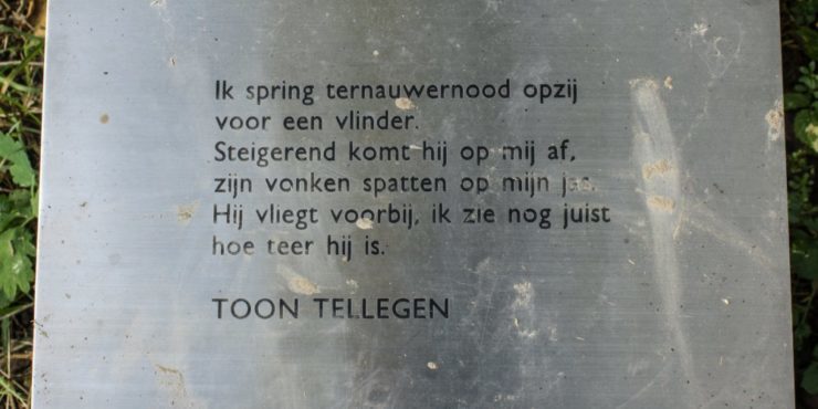 de lage landen Ik zag de liefde onder ogen. Over de poëzie van Toon