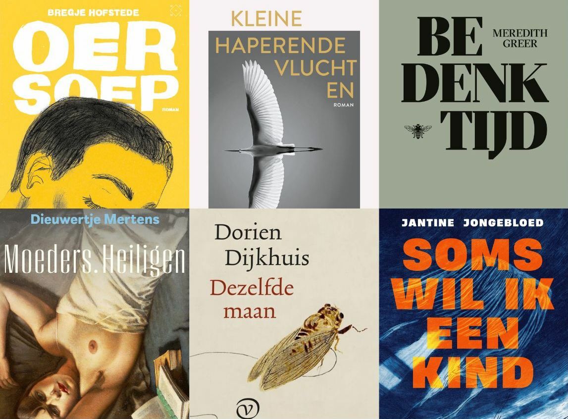 de lage landen Moederschap in recente romans: een pen in de hand en een