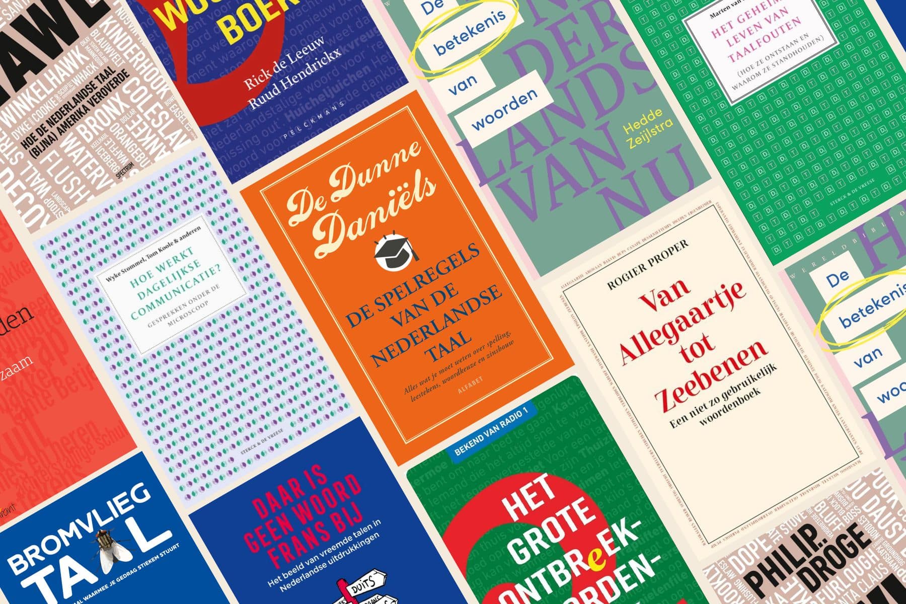 de lage landen Tovertaalboeken