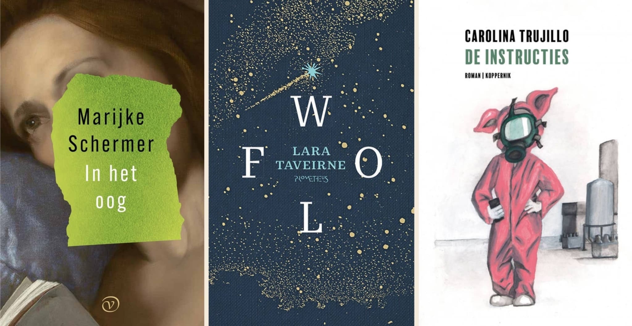 de lage landen Dit is de longlist van de Libris Literatuurprijs 2025